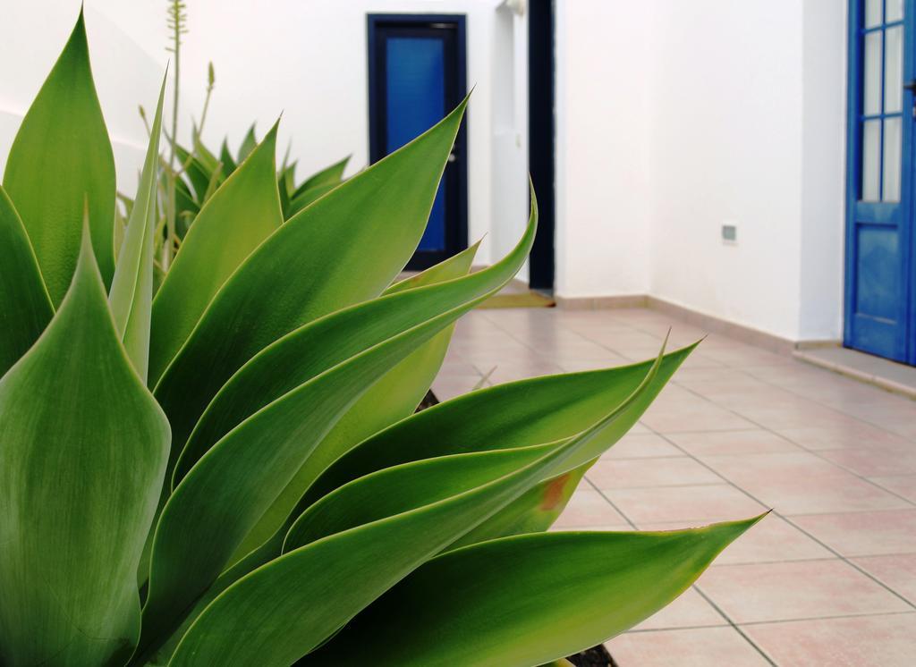 Villas Puerto Rubicon ปลายาบลังกา ภายนอก รูปภาพ